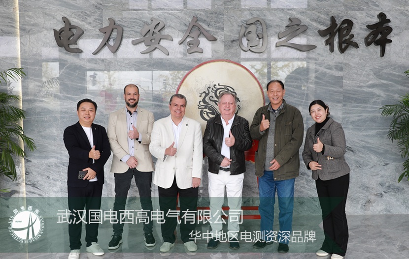 以實(shí)力為基，以誠(chéng)意為橋：國(guó)電西高喜迎國(guó)際核心客戶(hù)深度探訪(fǎng)